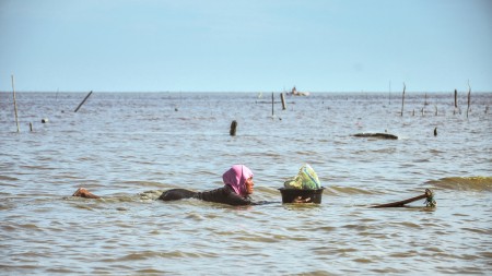 A Surfing Mother