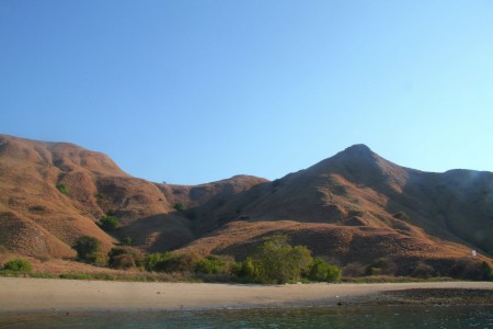 savanna hills