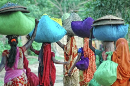 Tea Garden Worker