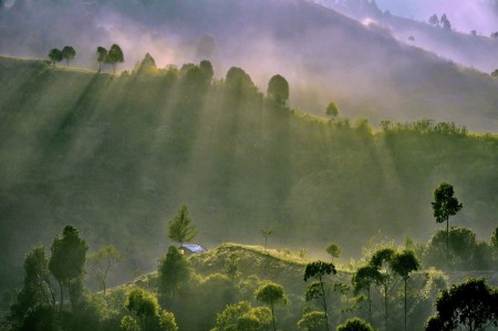 Bukit Berkabut