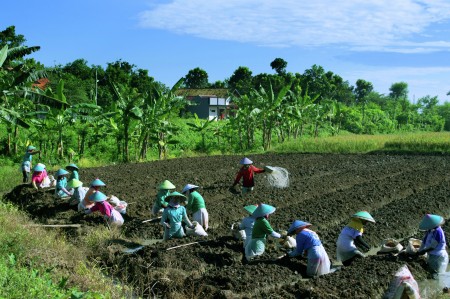 Woman Team Work