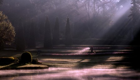 The Nature Light