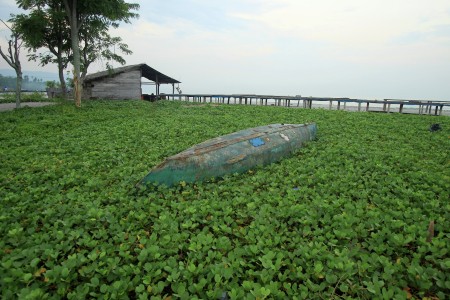 sebuah perahu