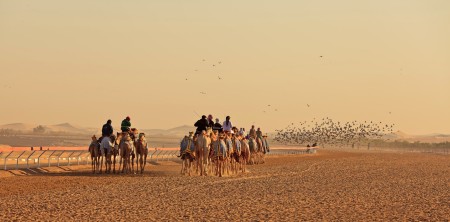 Flock