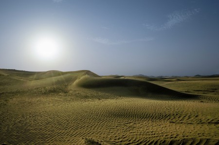 The Tail of The Desert