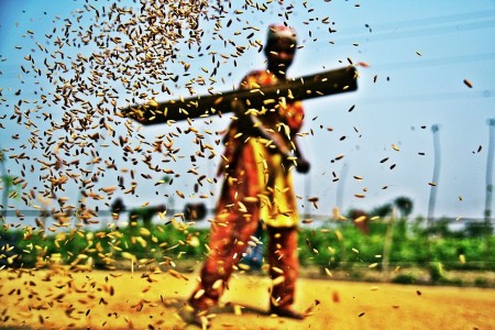 Grain For Life