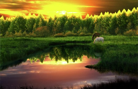 Dawn on the Prairie