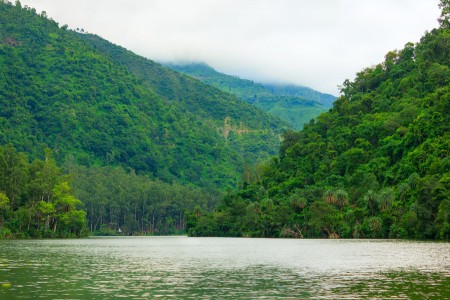 Nature at it's usual best