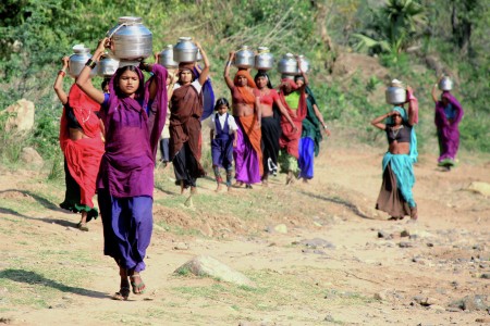 Towards wine market