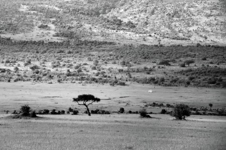 Maasai Mara
