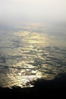 On Top of The World : Rice Field Mozaics