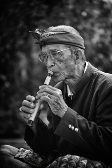 Balinese flueter