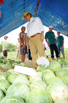 rakyat dan wakil rakyat