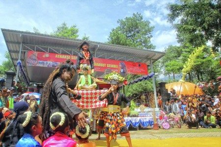 TARIAN KOLODETE
