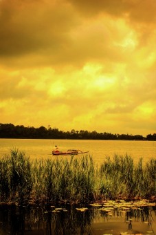Serenity in Bedugul - Bali