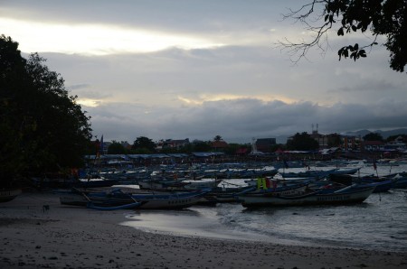 The Boats