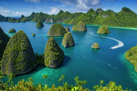 Wonderful Wayag