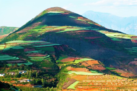 Colourful hill