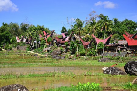 Toraja Village