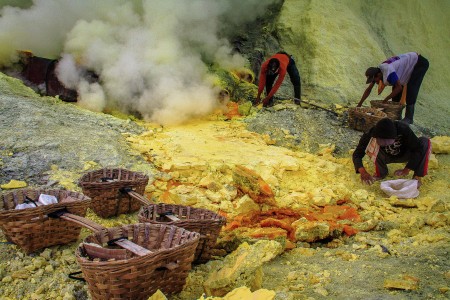 Sulphur Soldier