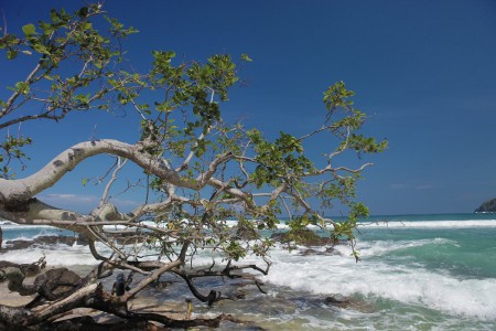 Wedhiombo Beach