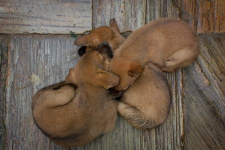 Togetherness