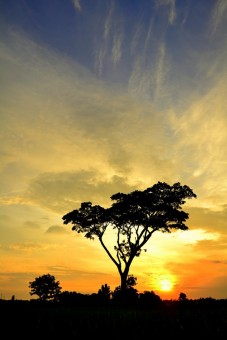 senja di Argo Mulyo