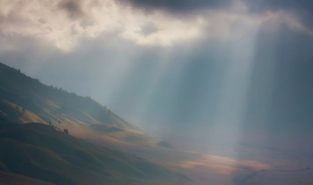 Morning Light