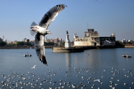 Flying Beauty