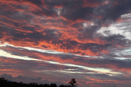 painting of nature