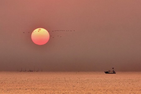 The Boat, The Sun and The Birds