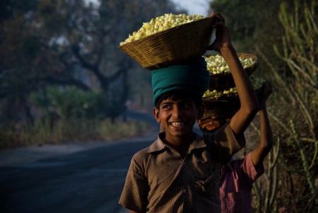 The Flower Hunt