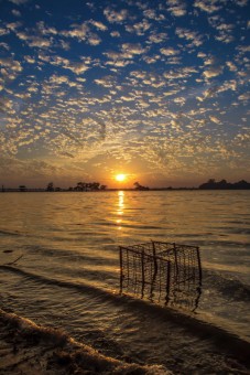 Silent Sunset