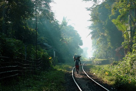 Life on the tracks