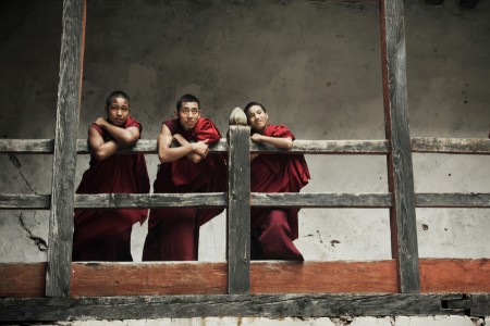 Young Monks