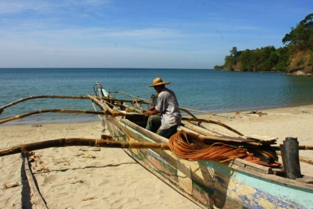 The Common Fisherman