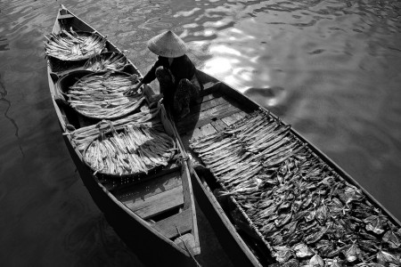 Drying the fish