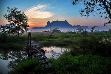 Peaceful morning