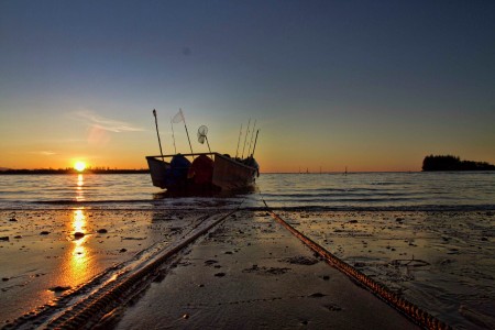 To the sea