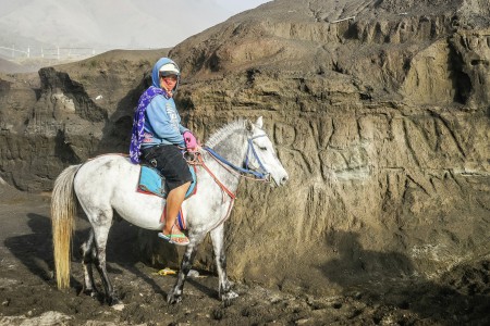 Horse Rider