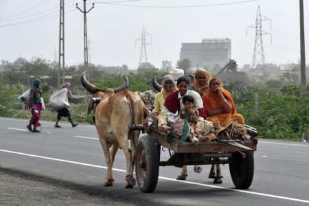 Family Transport