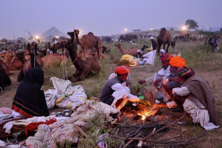 Pushkar Fair