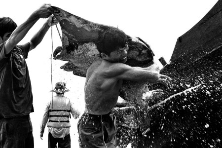Gift of the Sea