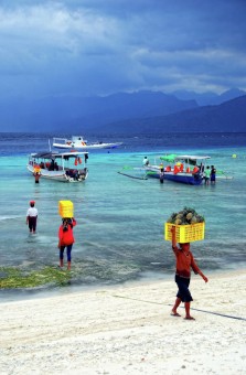 Supply of Basic Commodities.