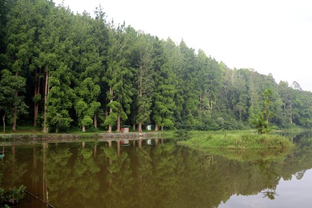 Reflection