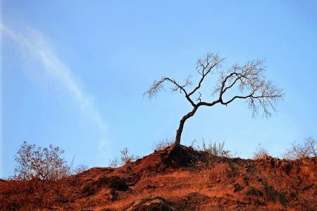 Red Earth