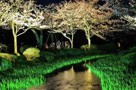 Light Up Kenrokuen Garden