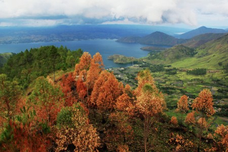 lake toba