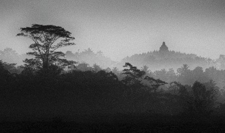 misty borobudur
