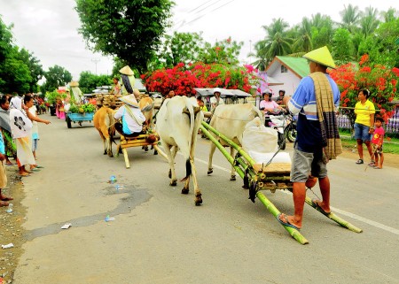 Traditional Transportation